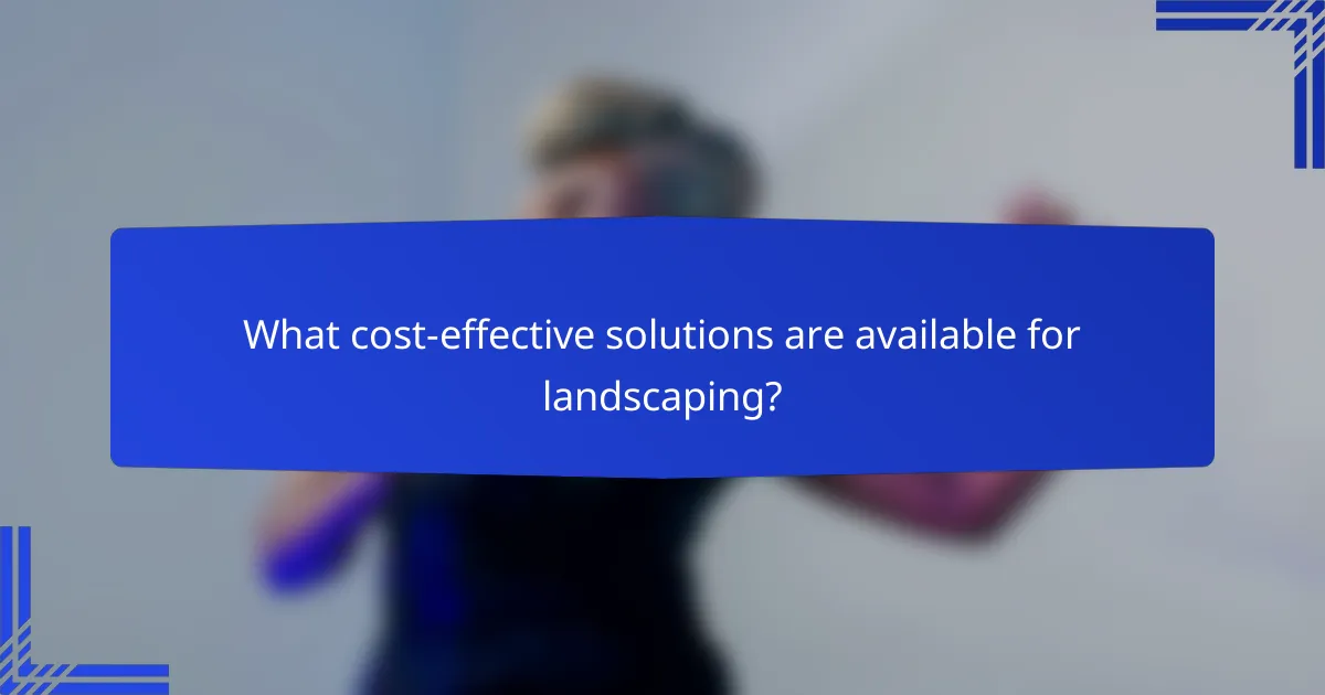 What cost-effective solutions are available for landscaping?